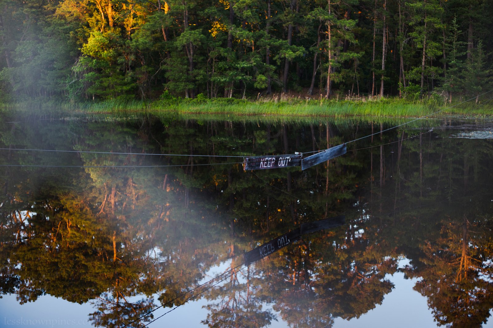 Harrisville Pond edge