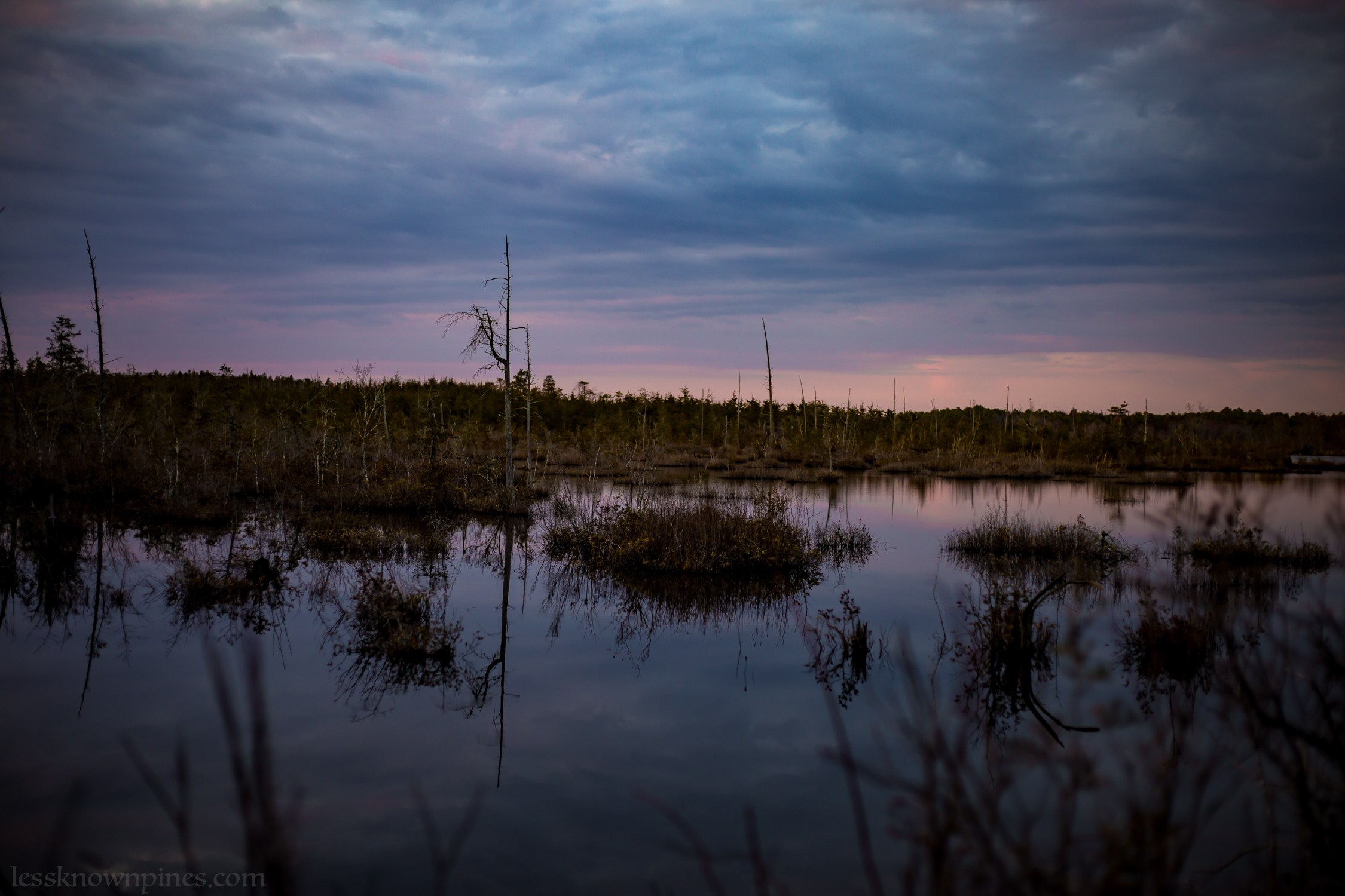 Wading River pond