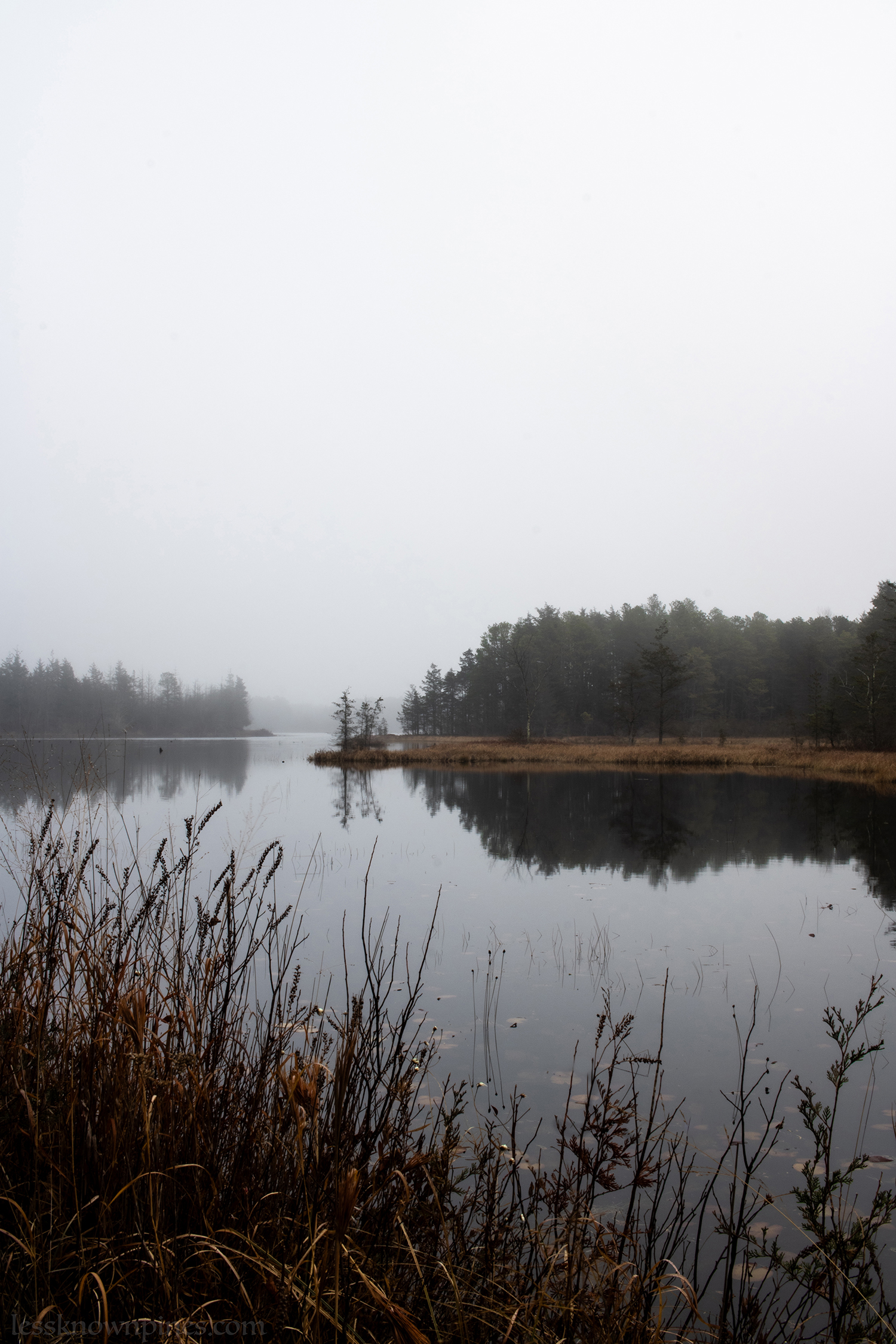 Pond for water source