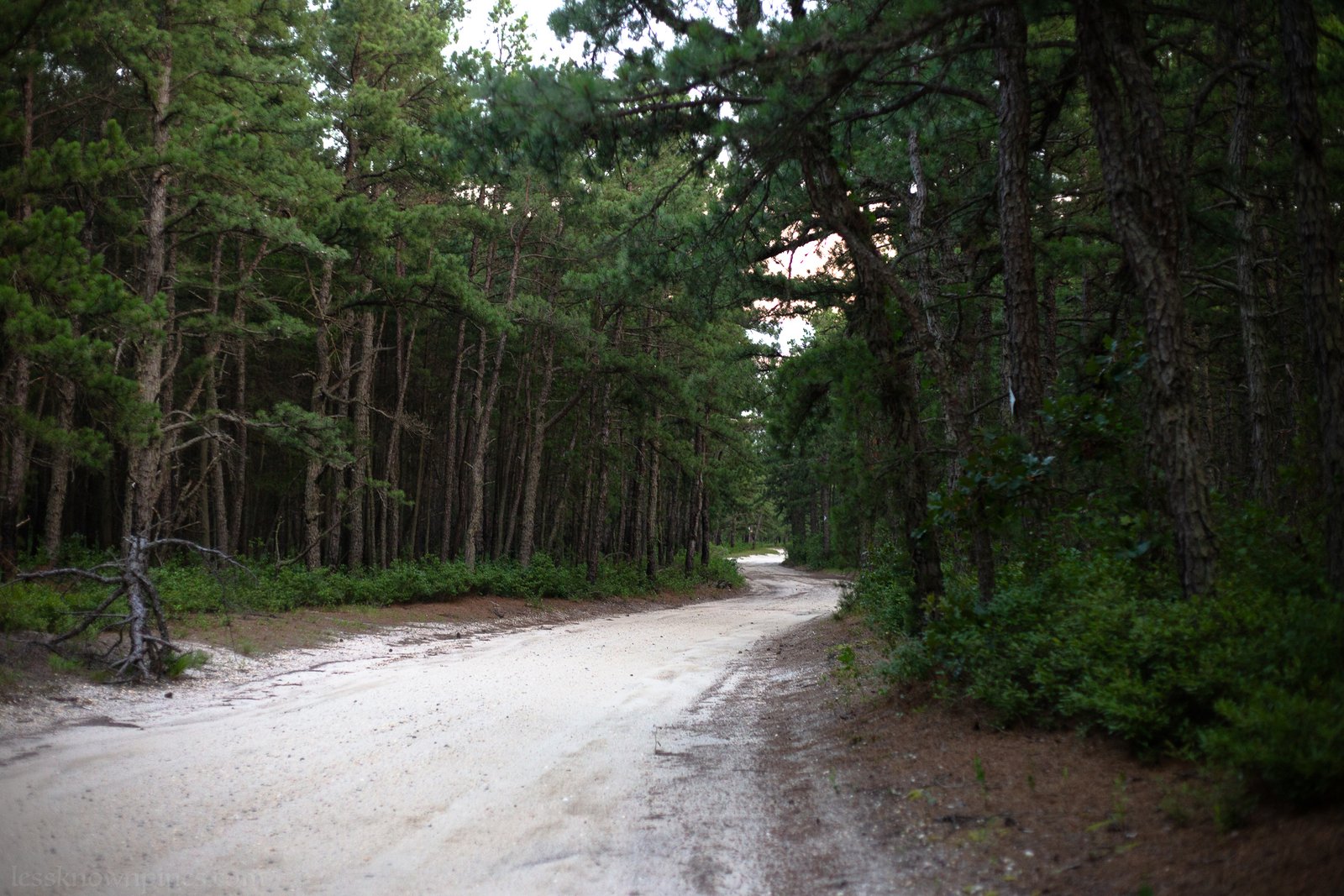 Deep Shoal Trail