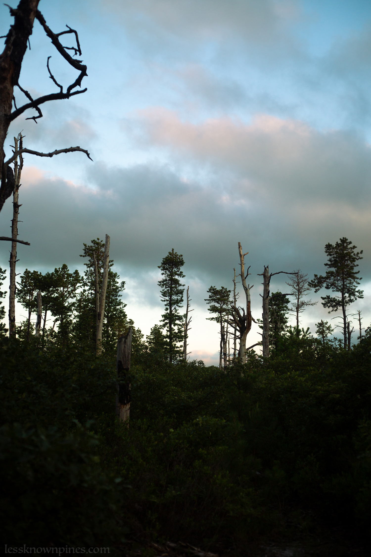 High point on a cloudy summer afternoon