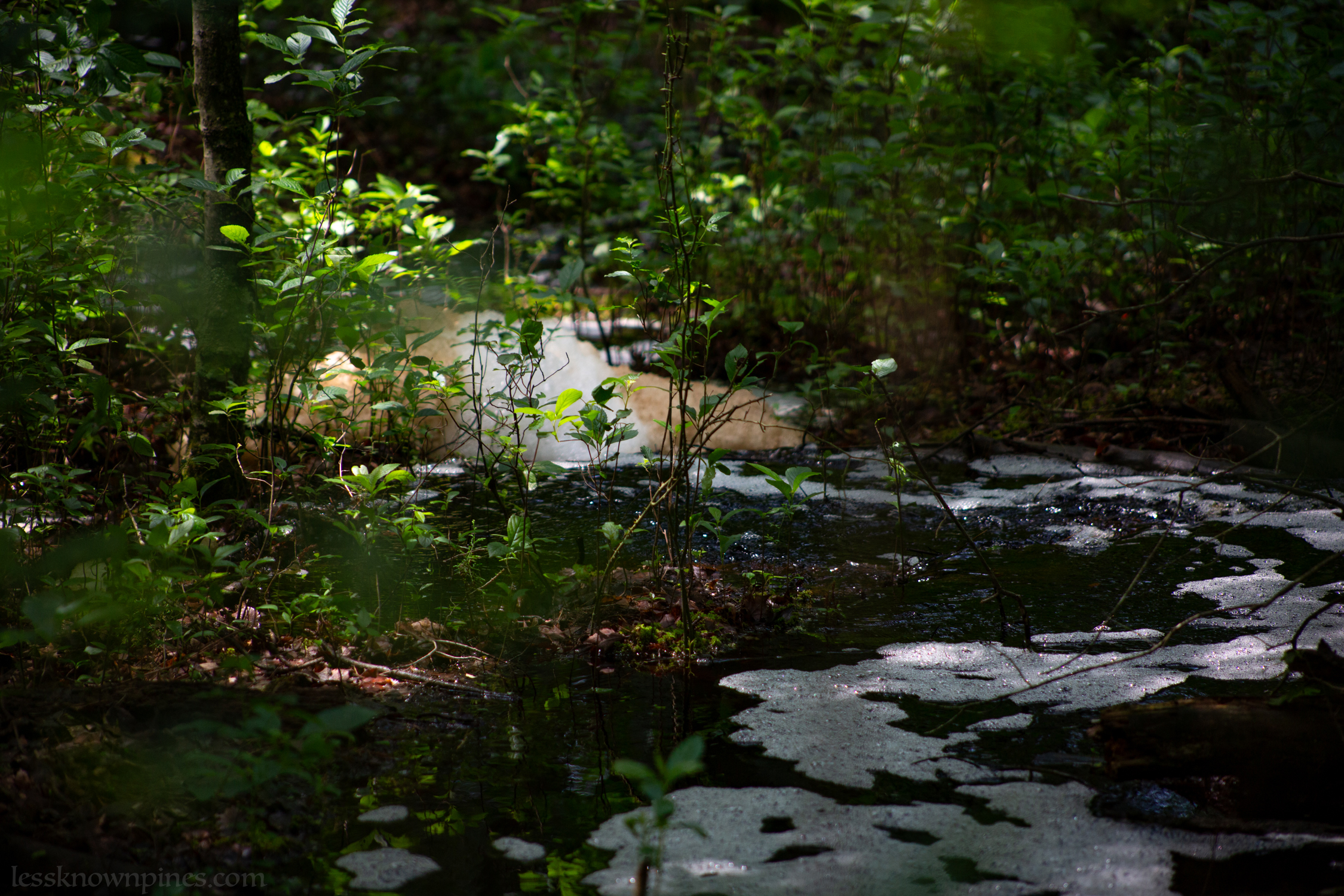 Irrigation water builds foam