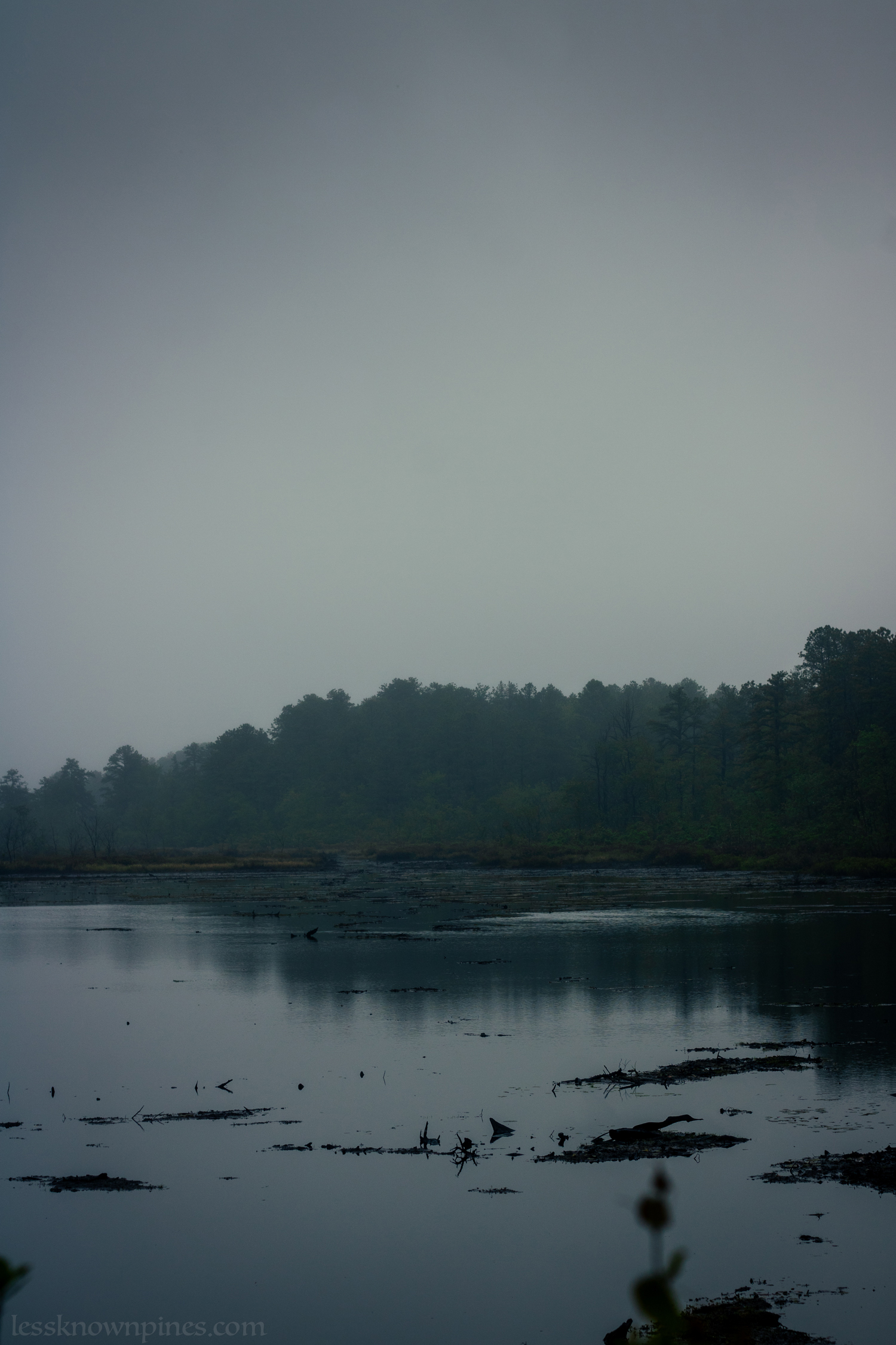 Mid-May aftermath of rainfall