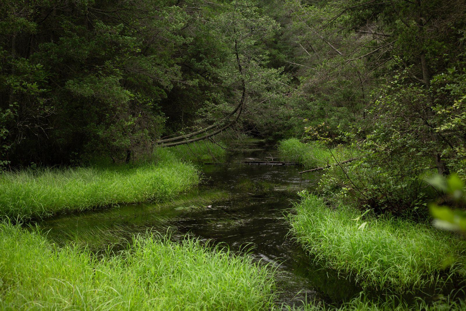 Intersecting streams
