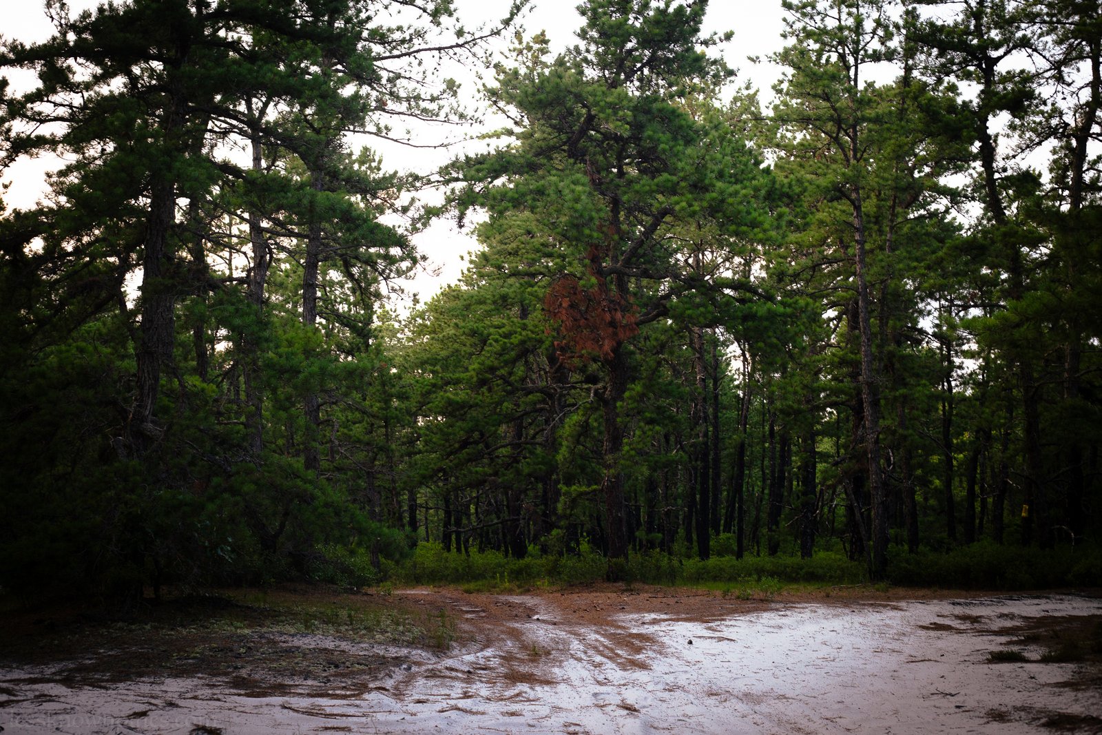 Trail intersection