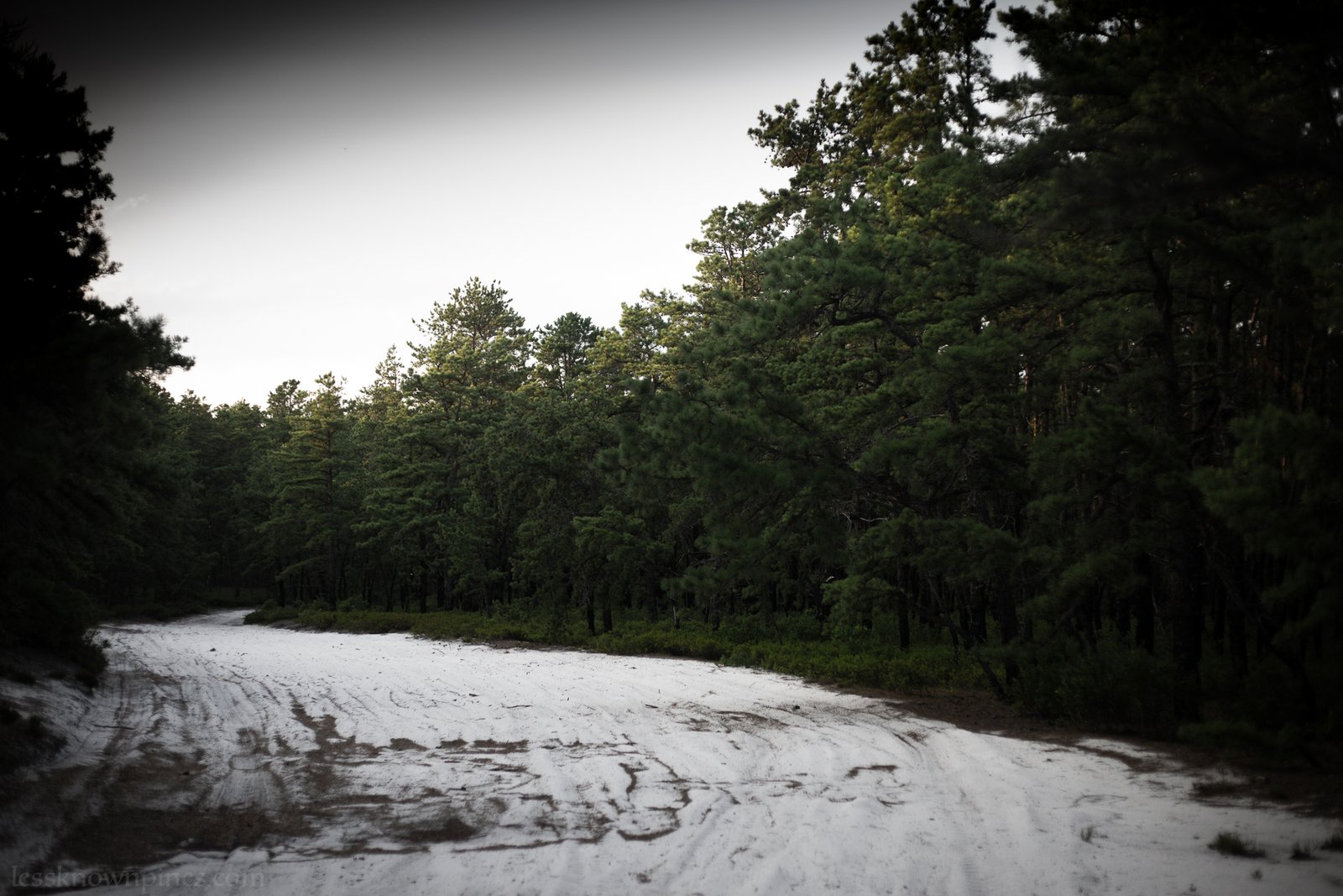 Upland sand road