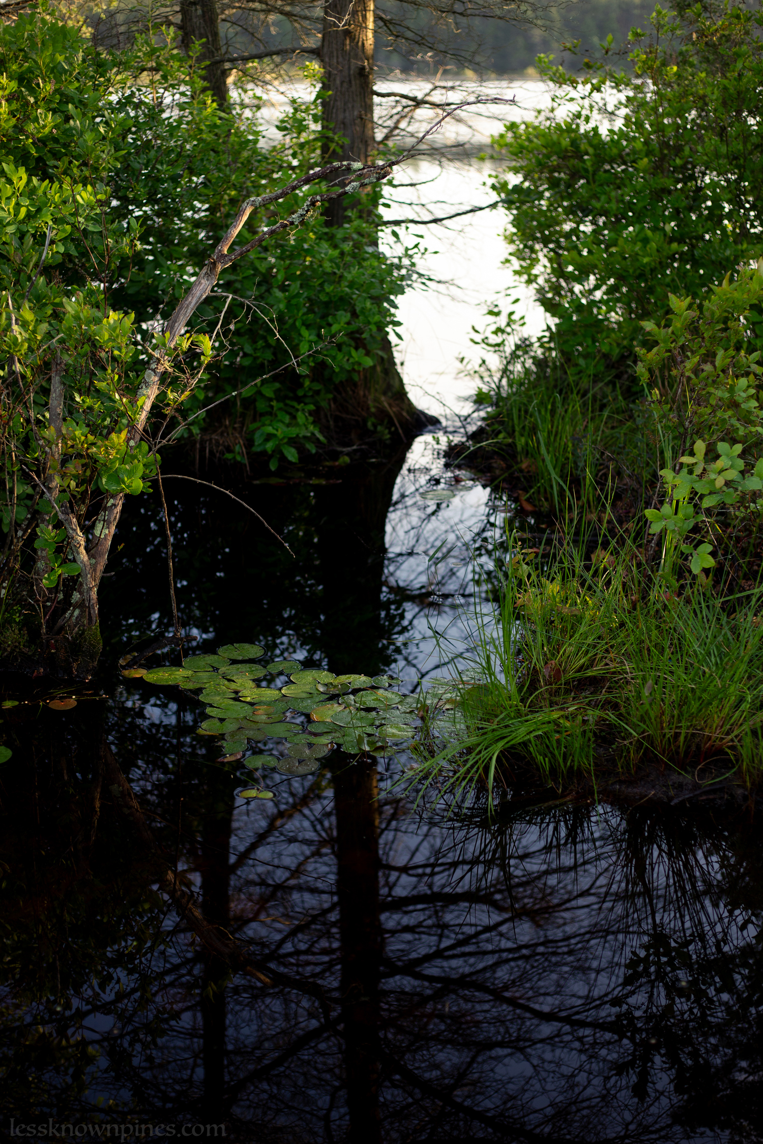 Water channels from one pond to another