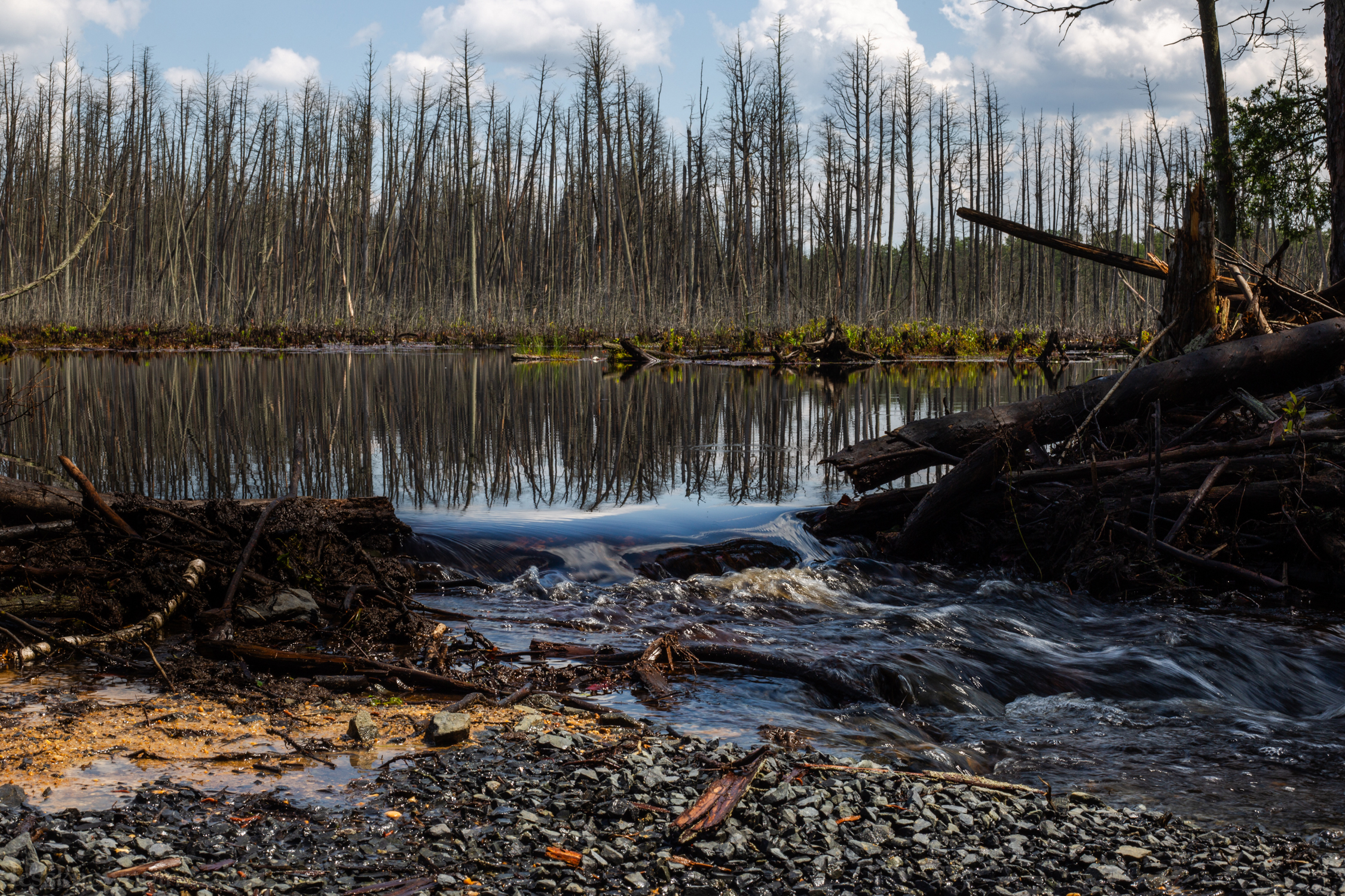 Pond becomes a waterfall to irrigate more forests