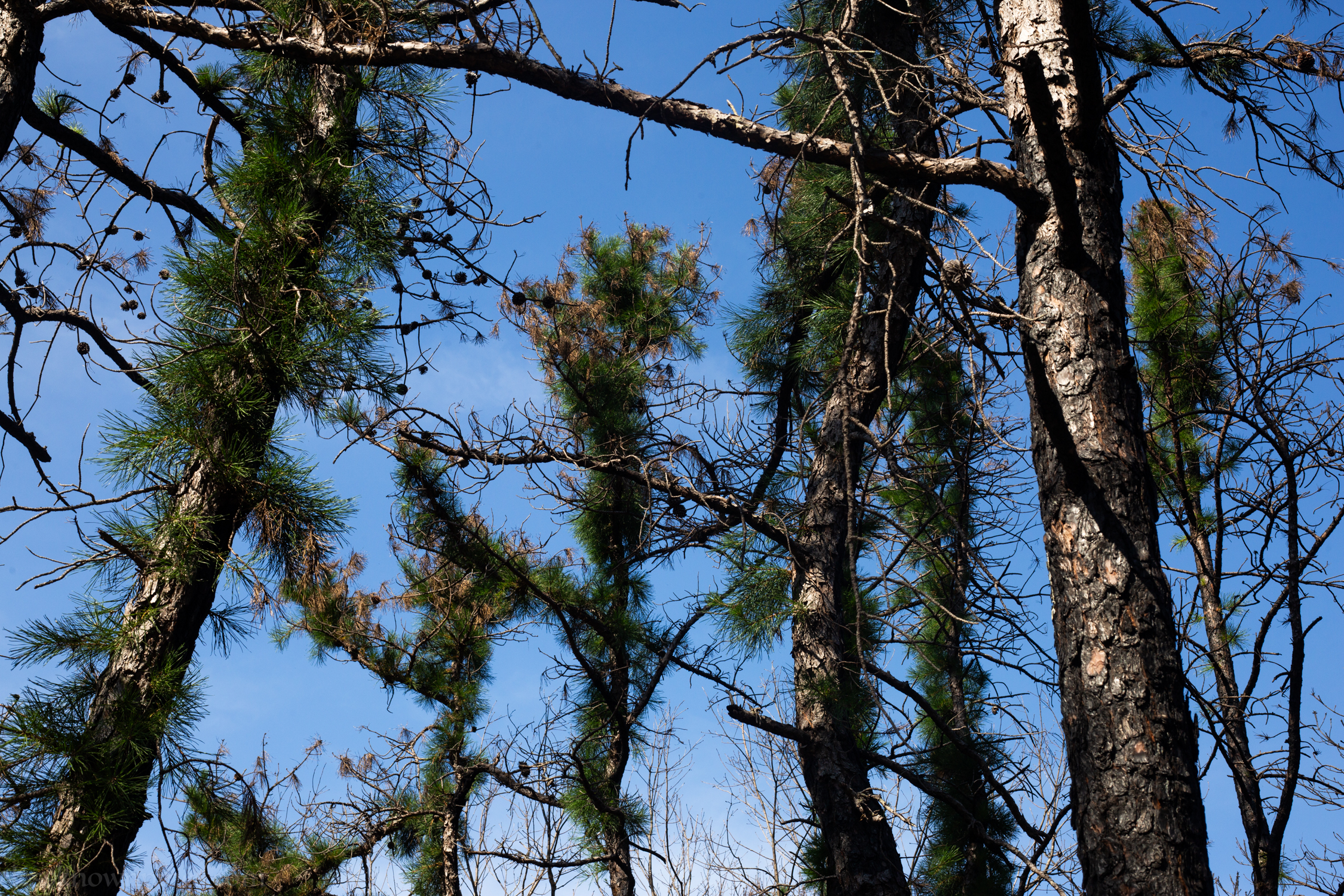 Forked River Mountain Preserve thumbnail