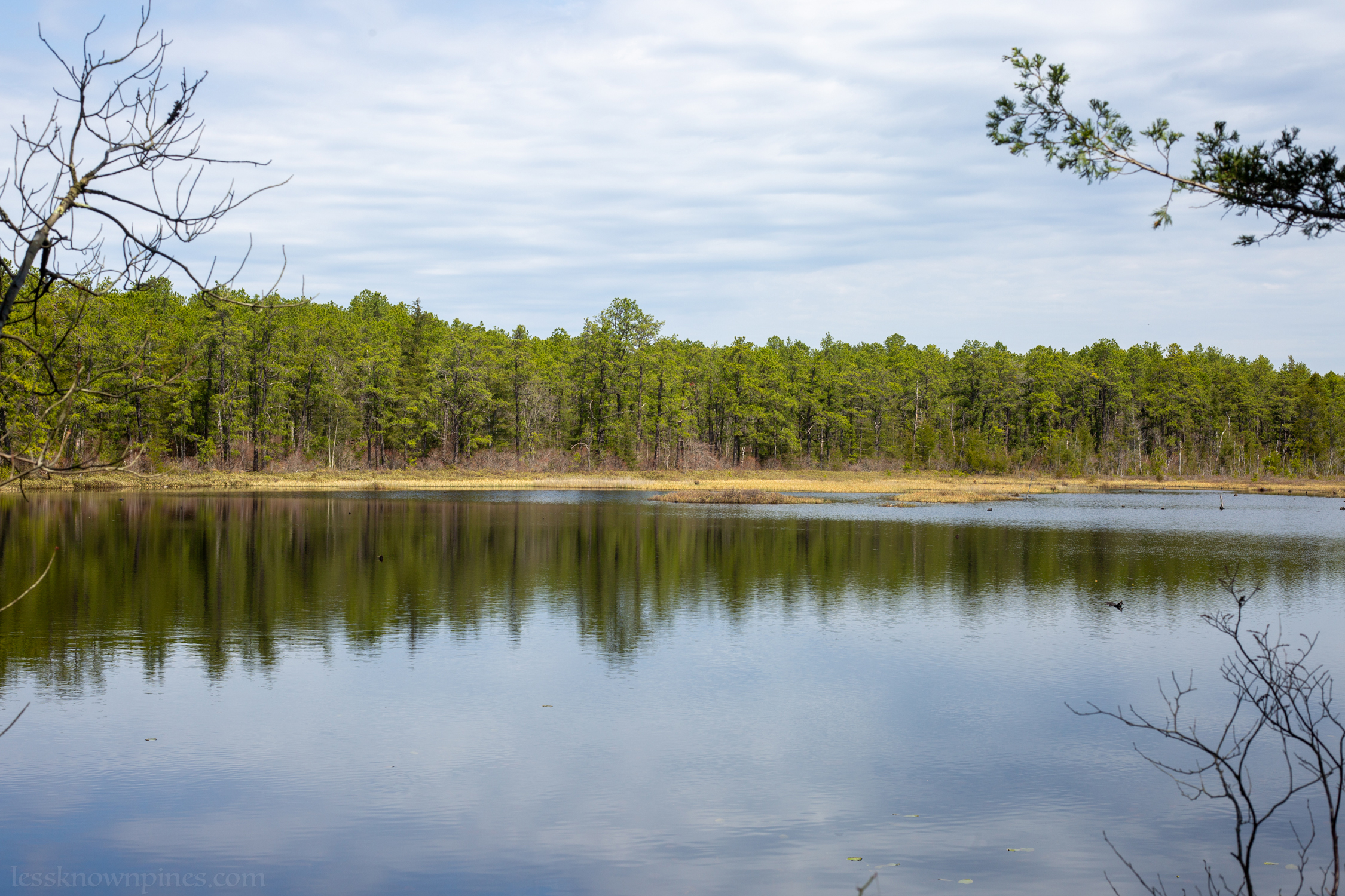 Cedar reservoir lake
