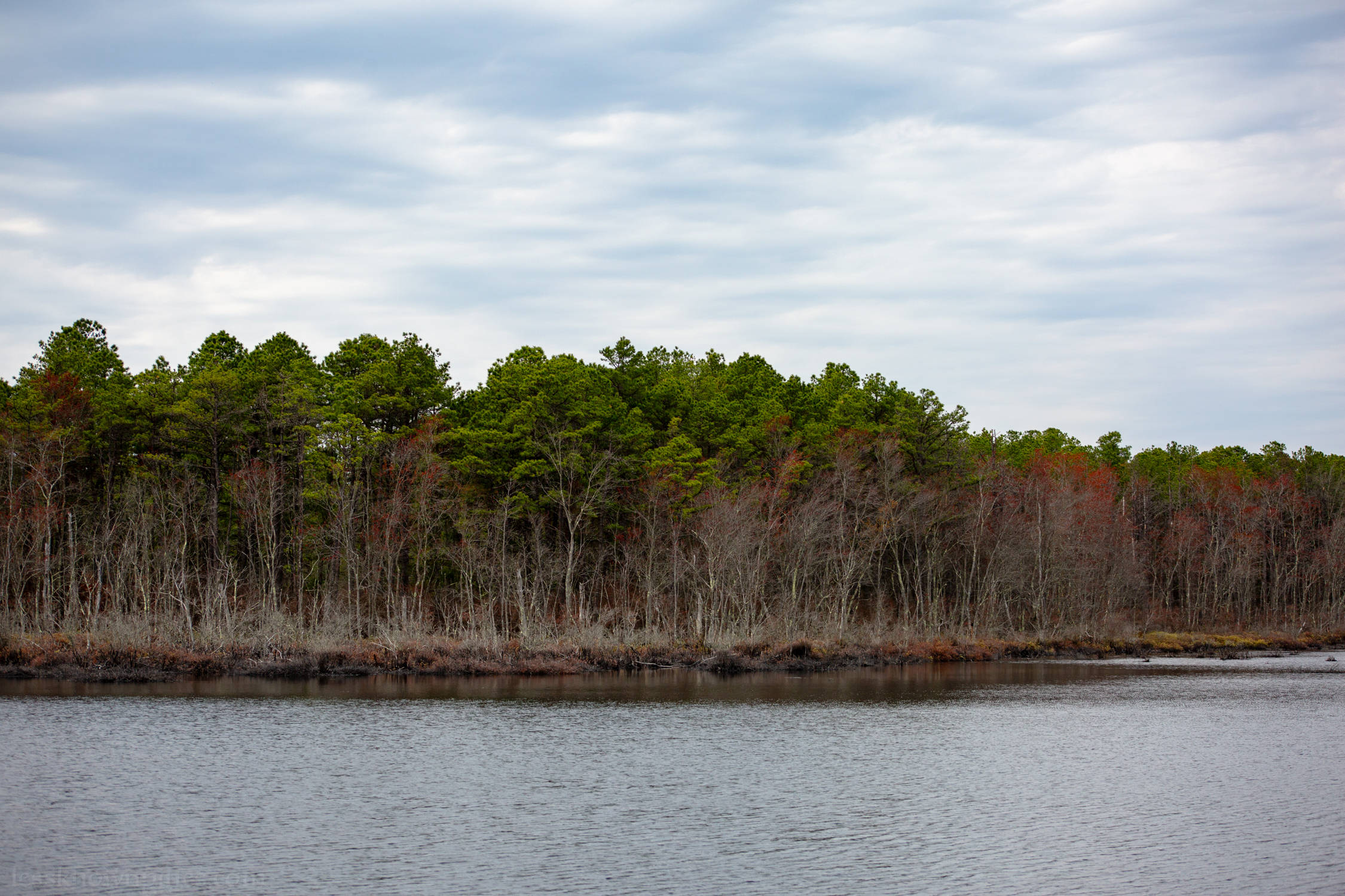 Cedar reservoir lake surrounded by oak
