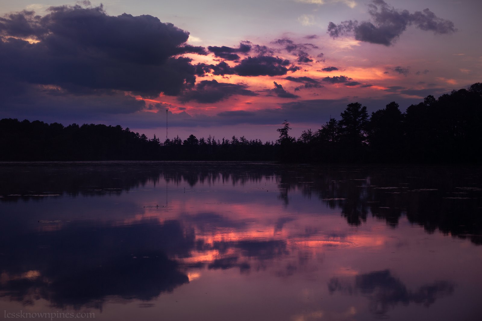 Sunset over pond