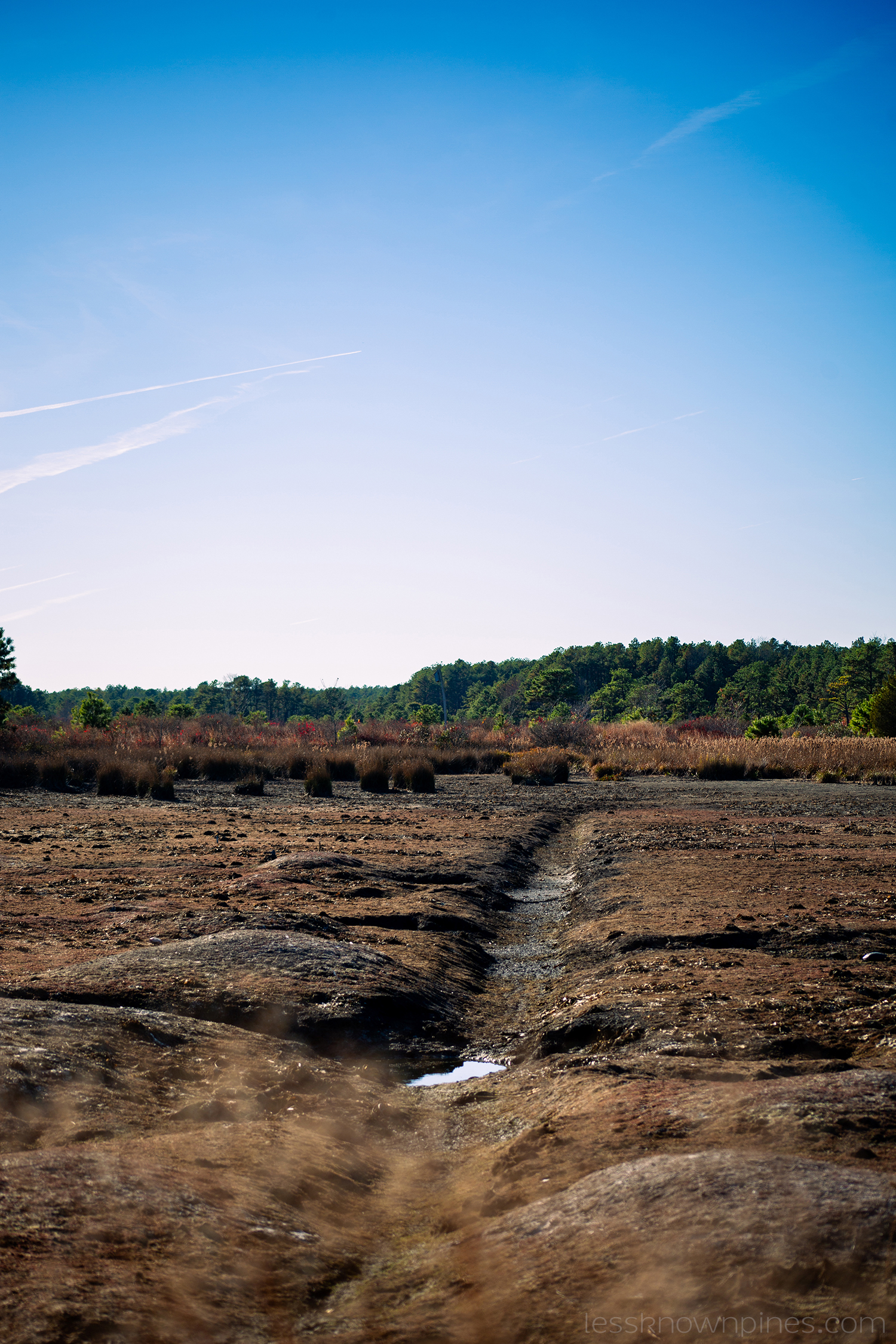 Irrigation channel system -- swamp floor