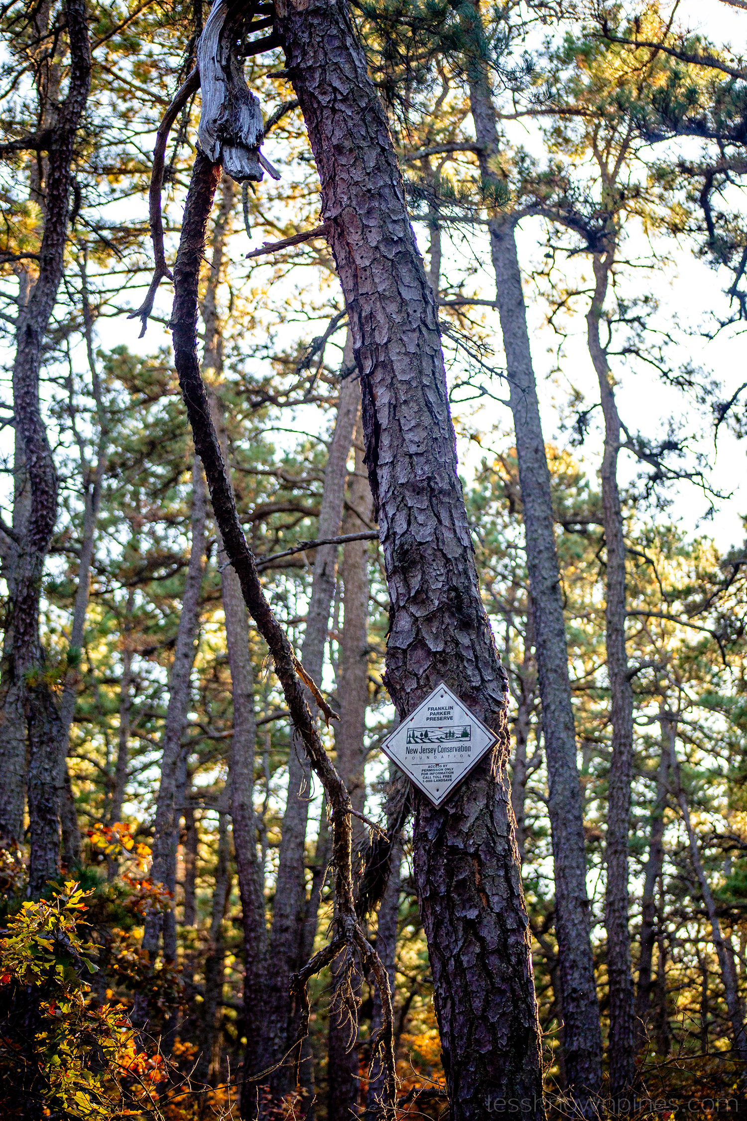 Franklin Parker Preserve sign