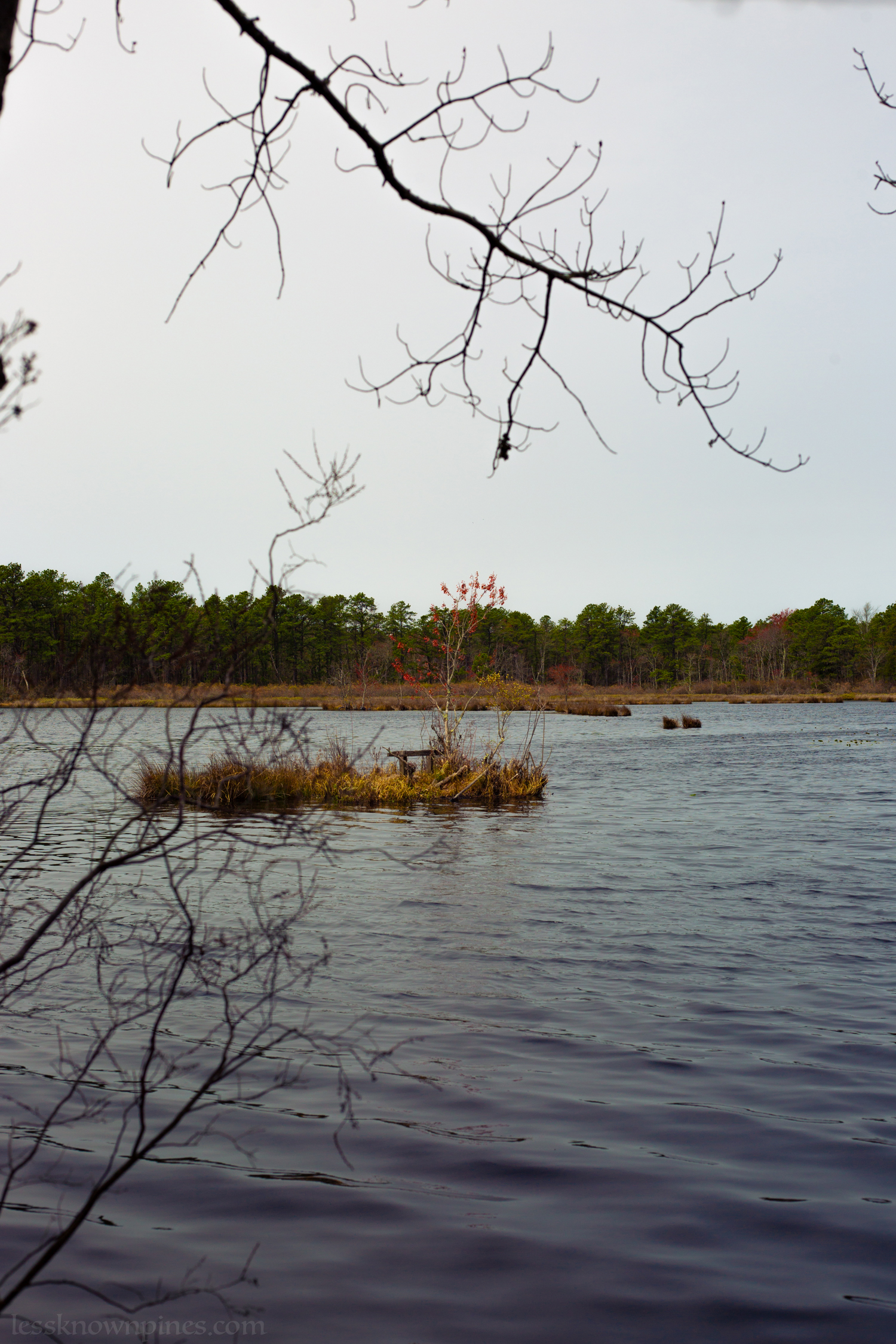 Small island on lake