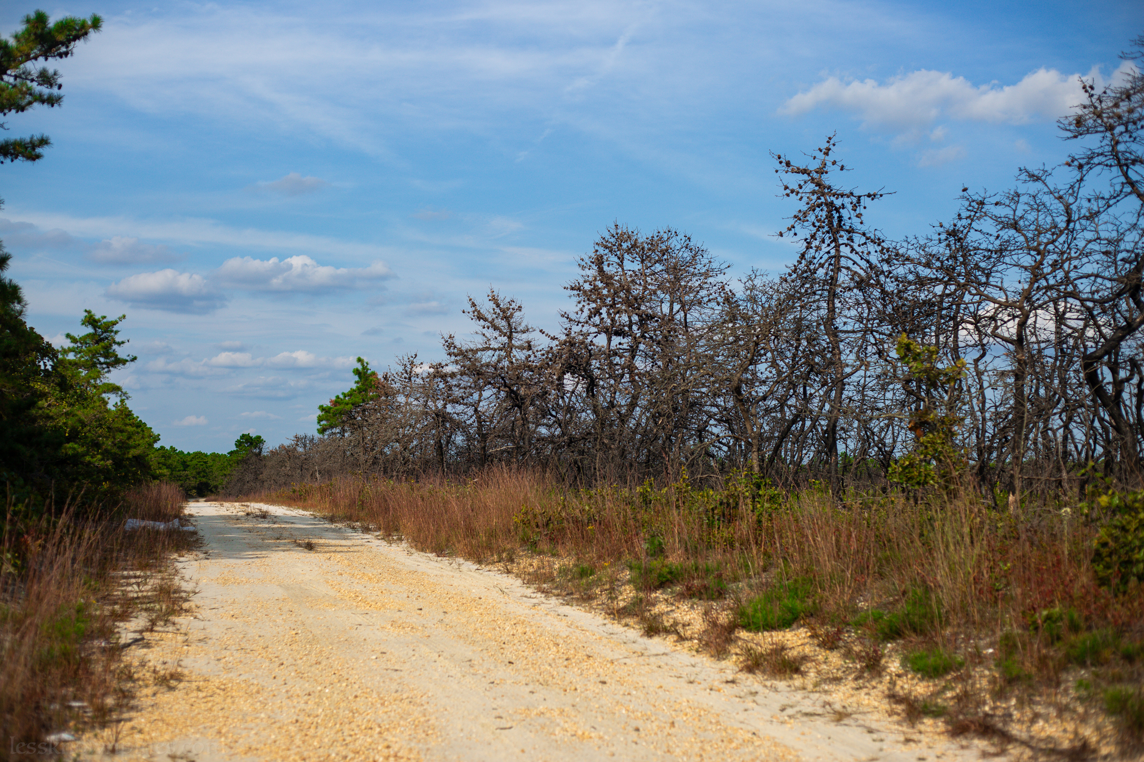 Firelane helps protect other side from flames