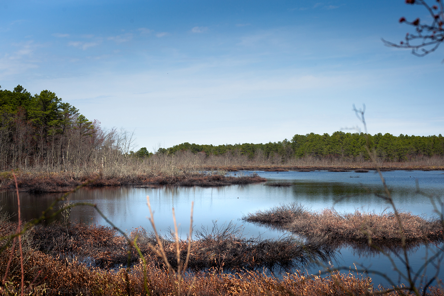 Cedar swamp reservoir