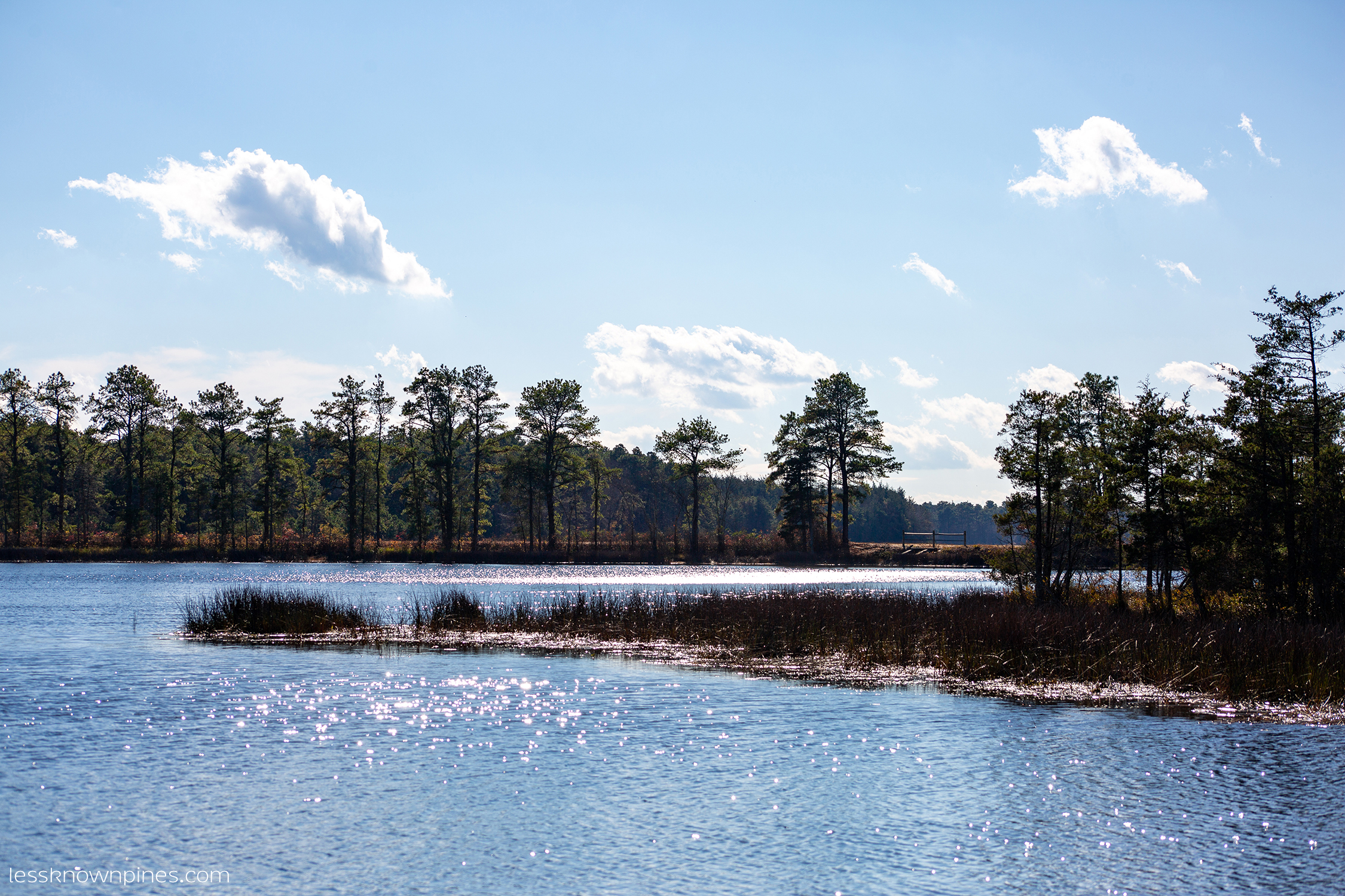 A fall day at Oswego lake