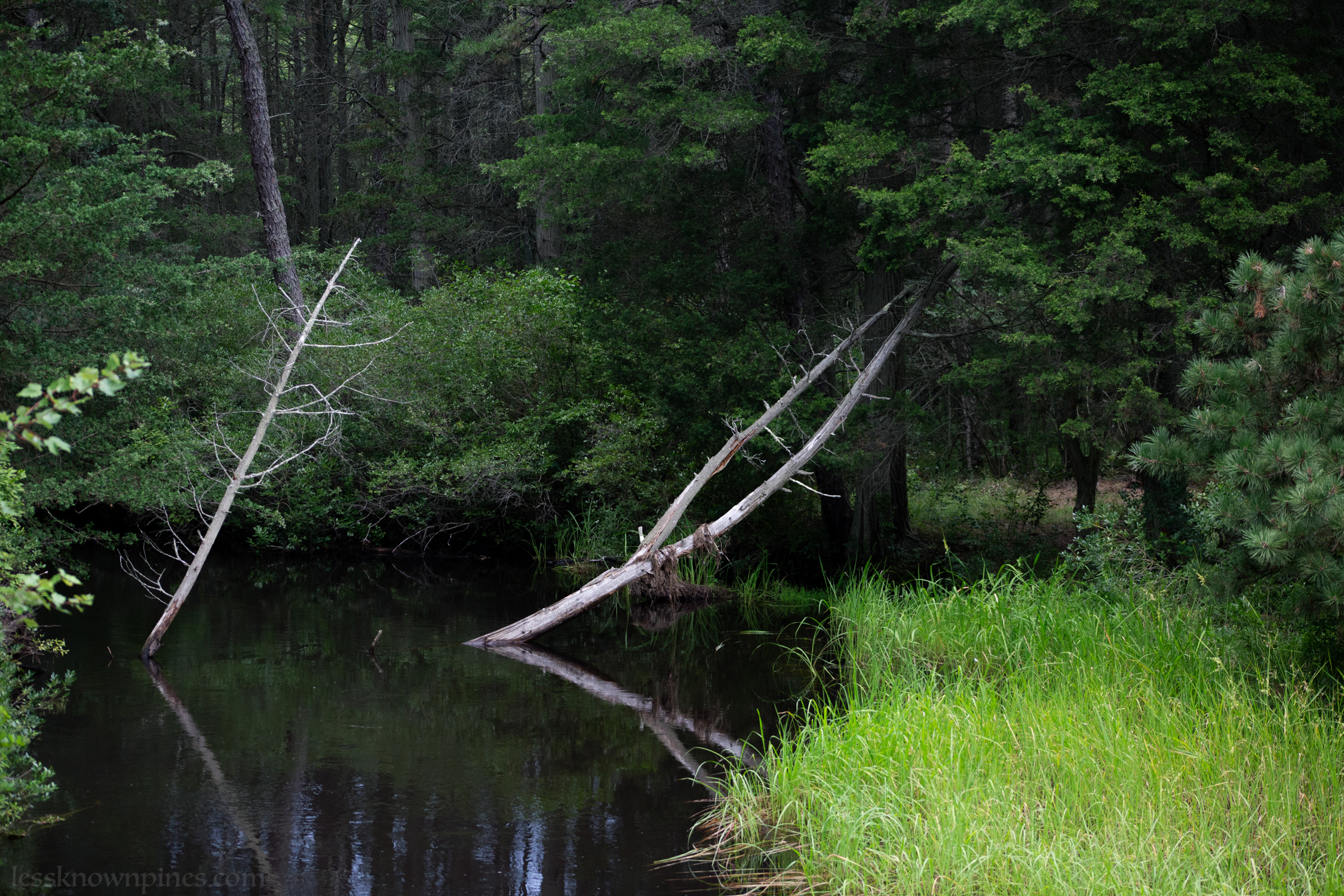 A devil leaves its pitchfork