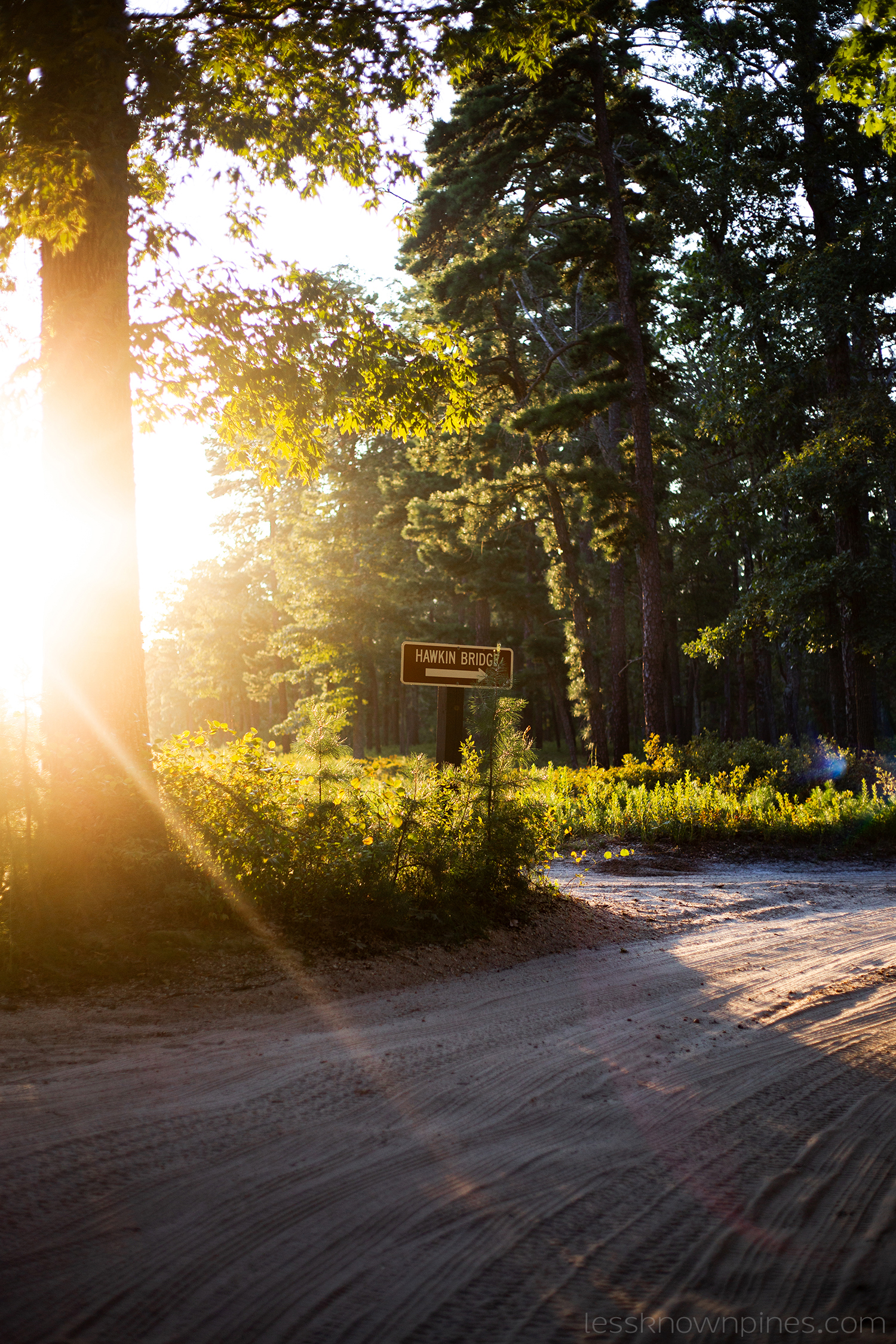 Hawkin bridge direction