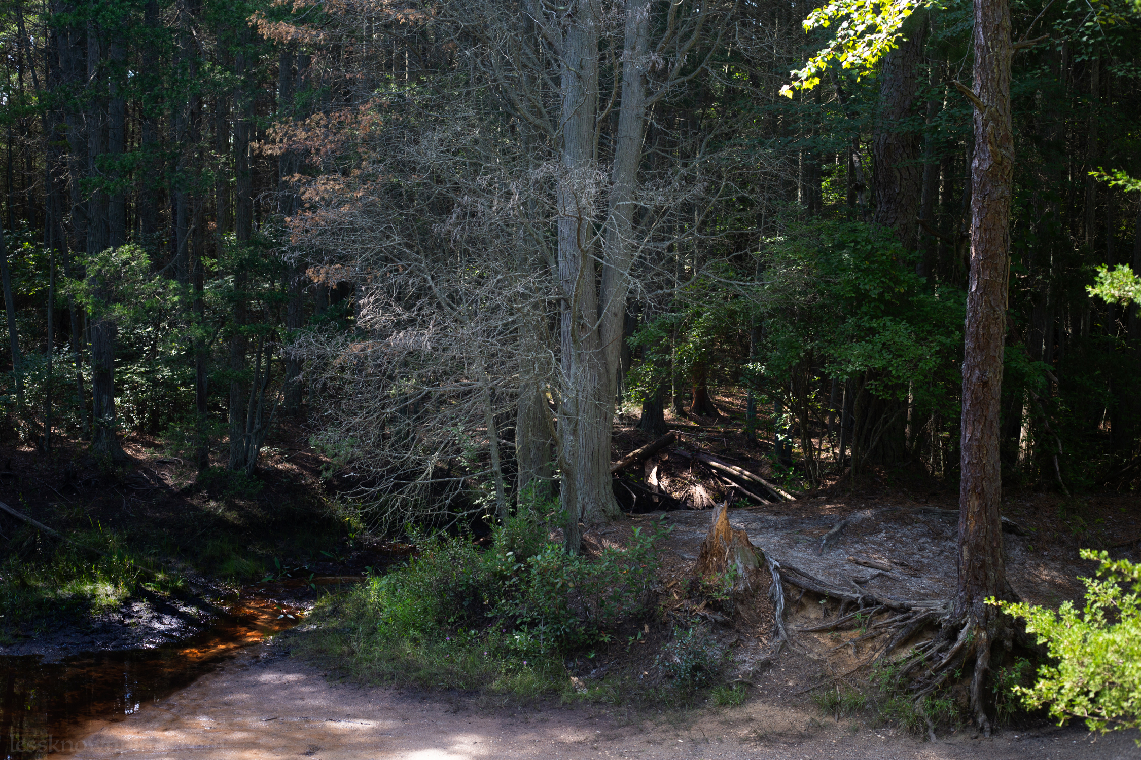 Hawkins Bridge island
