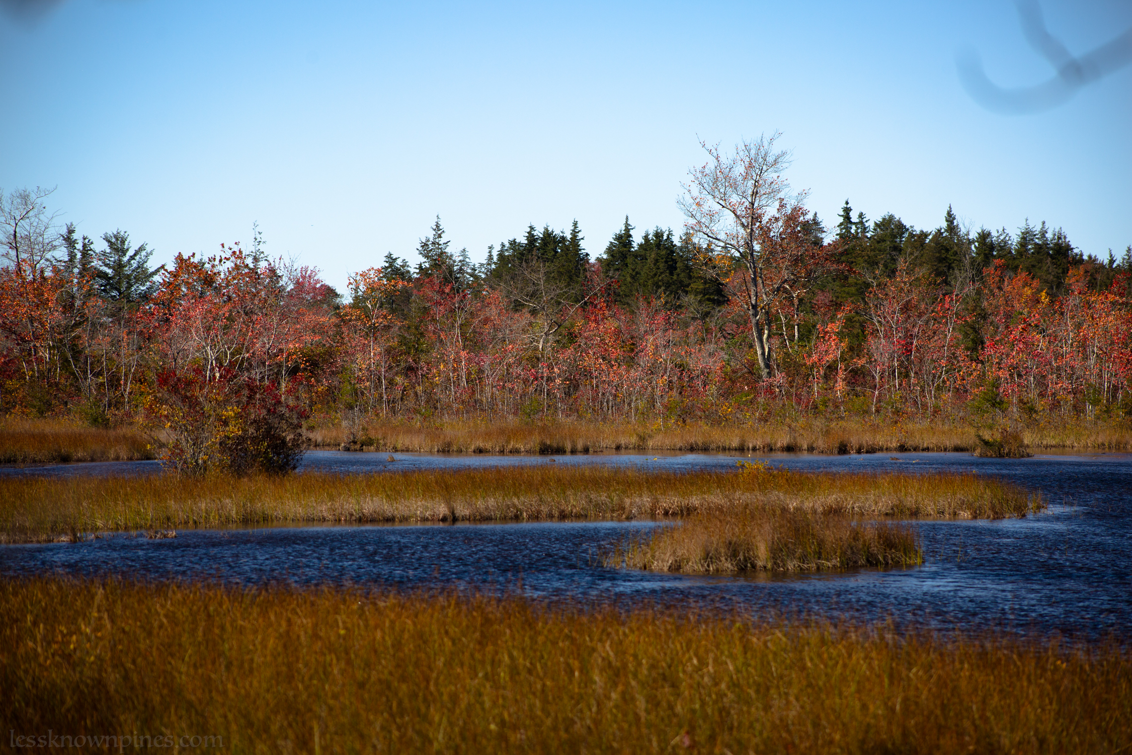 Wharton State forest water trail